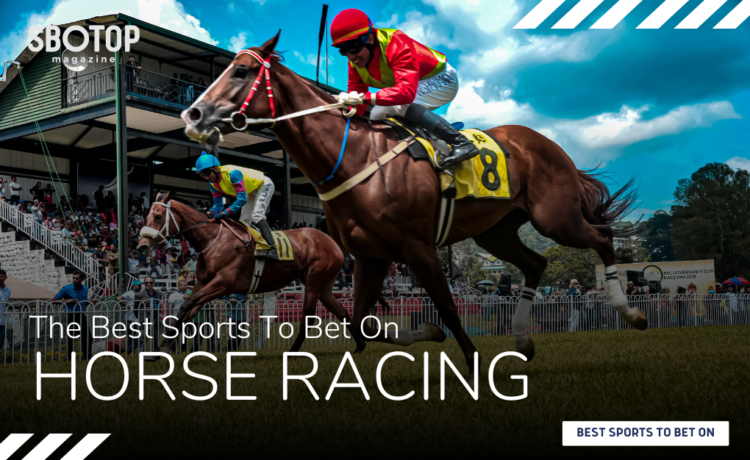 Horse Racing Blog Featured Image