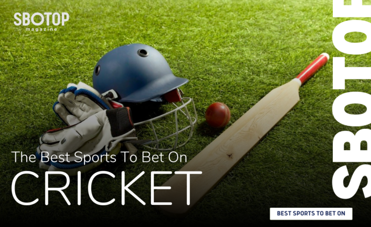 Cricket Blog Featured Image