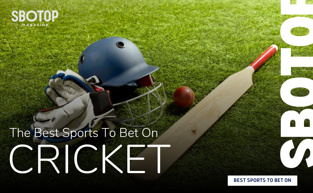 Cricket Blog Featured Image