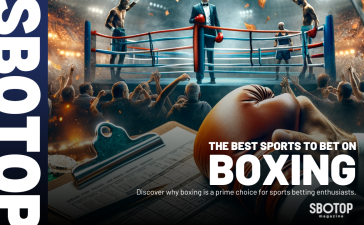 Why Boxing Stands Out Blog Featured Image