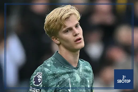 SBOTOP Former Premier League Referee Dermot Gallagher: Spurs Deserved Penalty in Fulham Clash