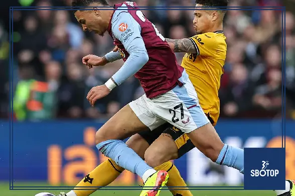 SBOTOP: Aston Villa Land a Midfield Fighter as Joao Gomes Looks Set to Become a Holte End Favourite